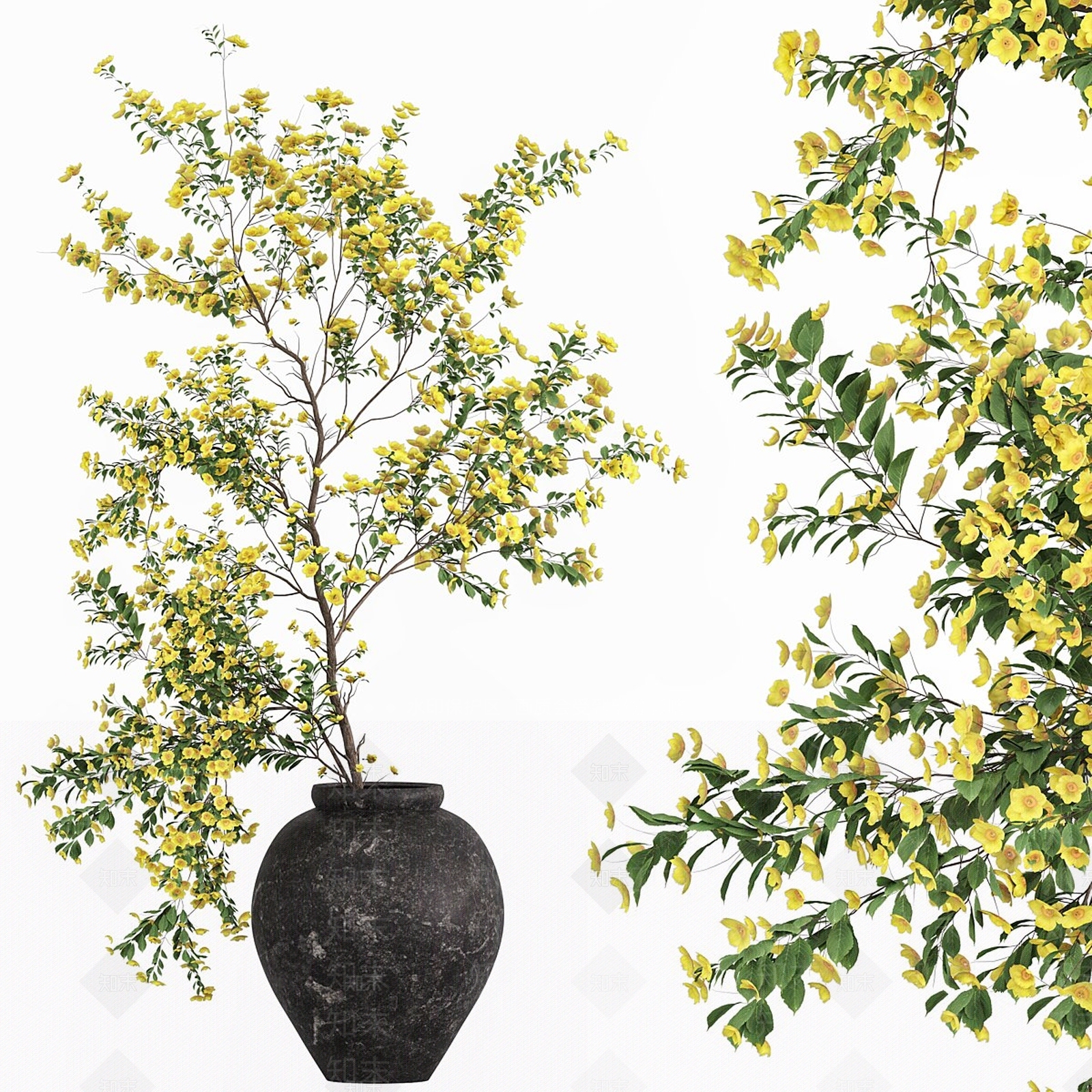 花艺3D模型下载【ID:1178838895】