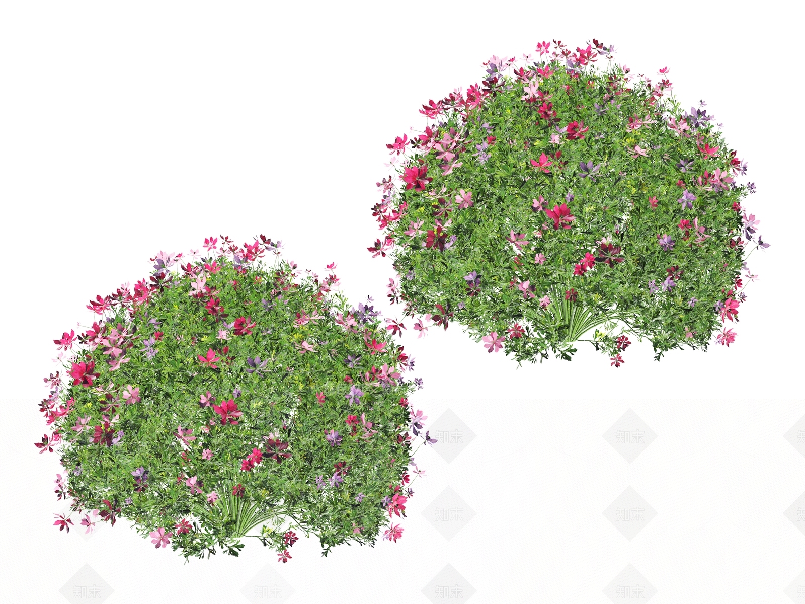 草3D模型下载【ID:1178847086】