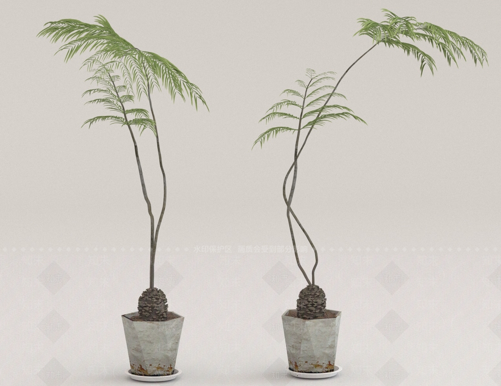 其他绿植3D模型下载【ID:1178887852】
