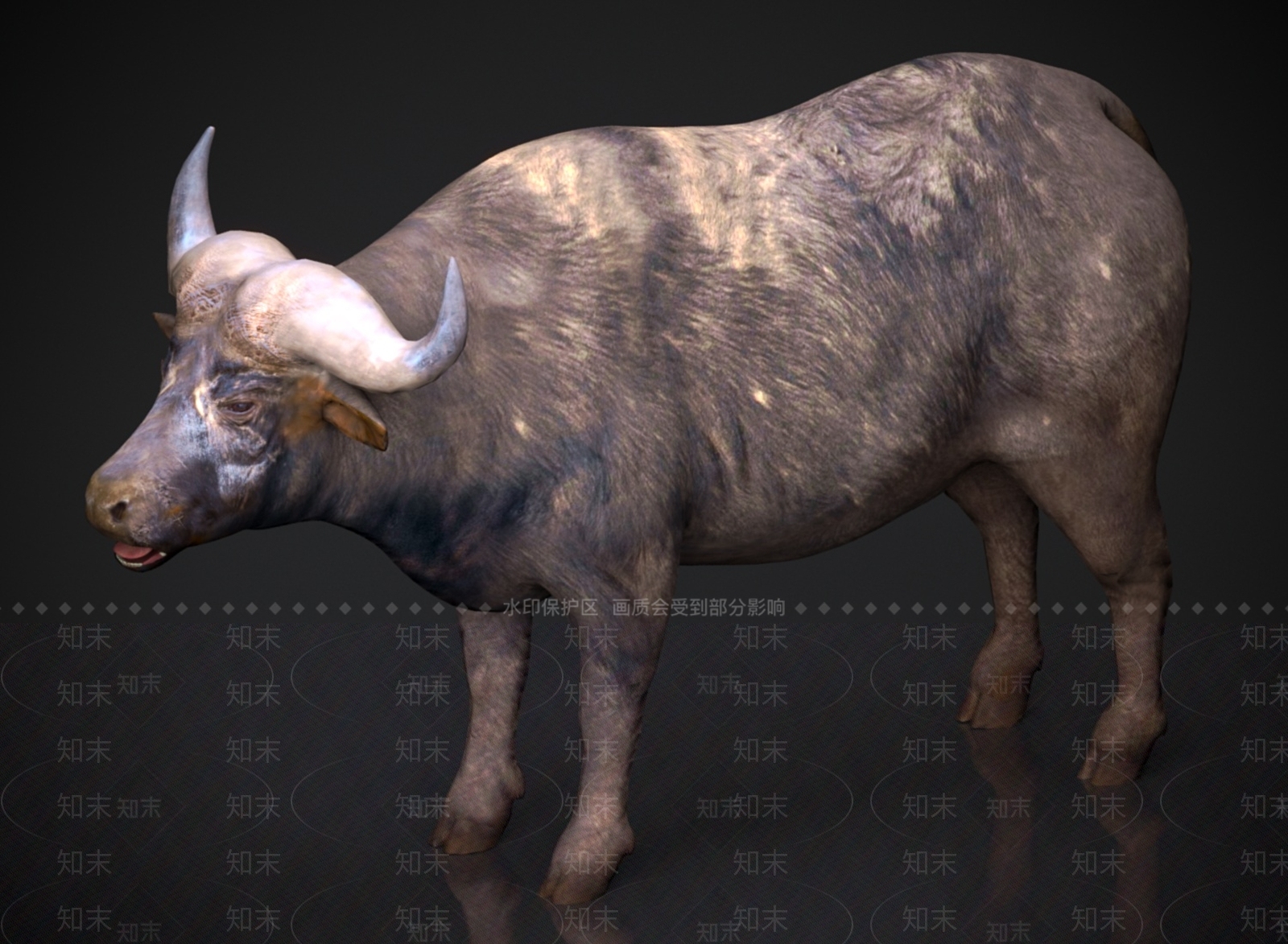 家禽类动物3D模型下载【ID:1178889619】