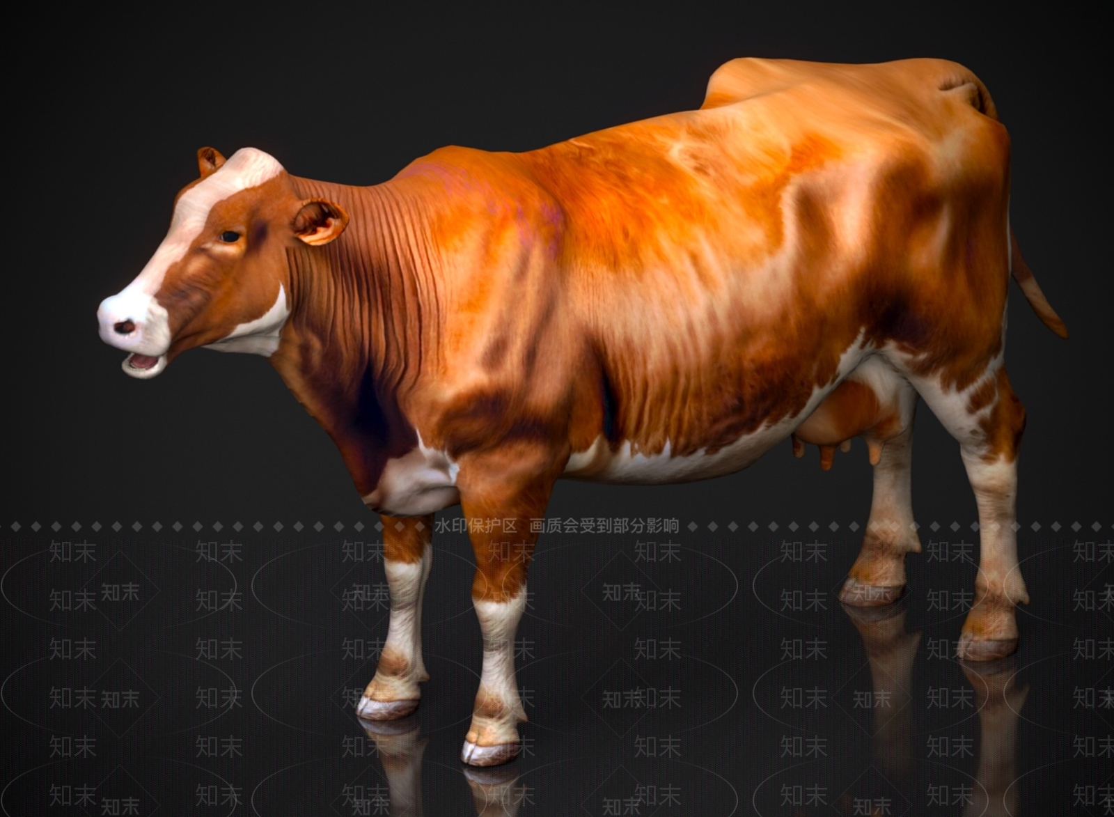 家禽类动物3D模型下载【ID:1178890173】