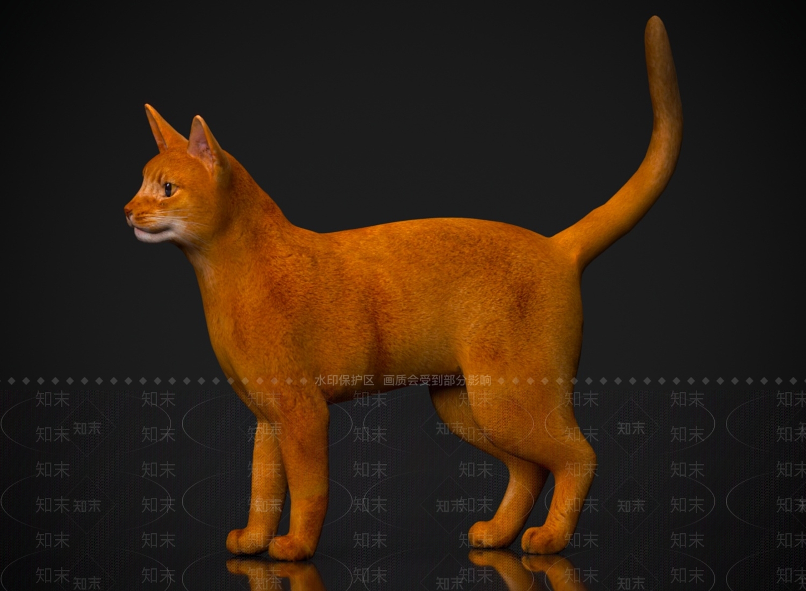 家禽类动物3D模型下载【ID:1178890109】