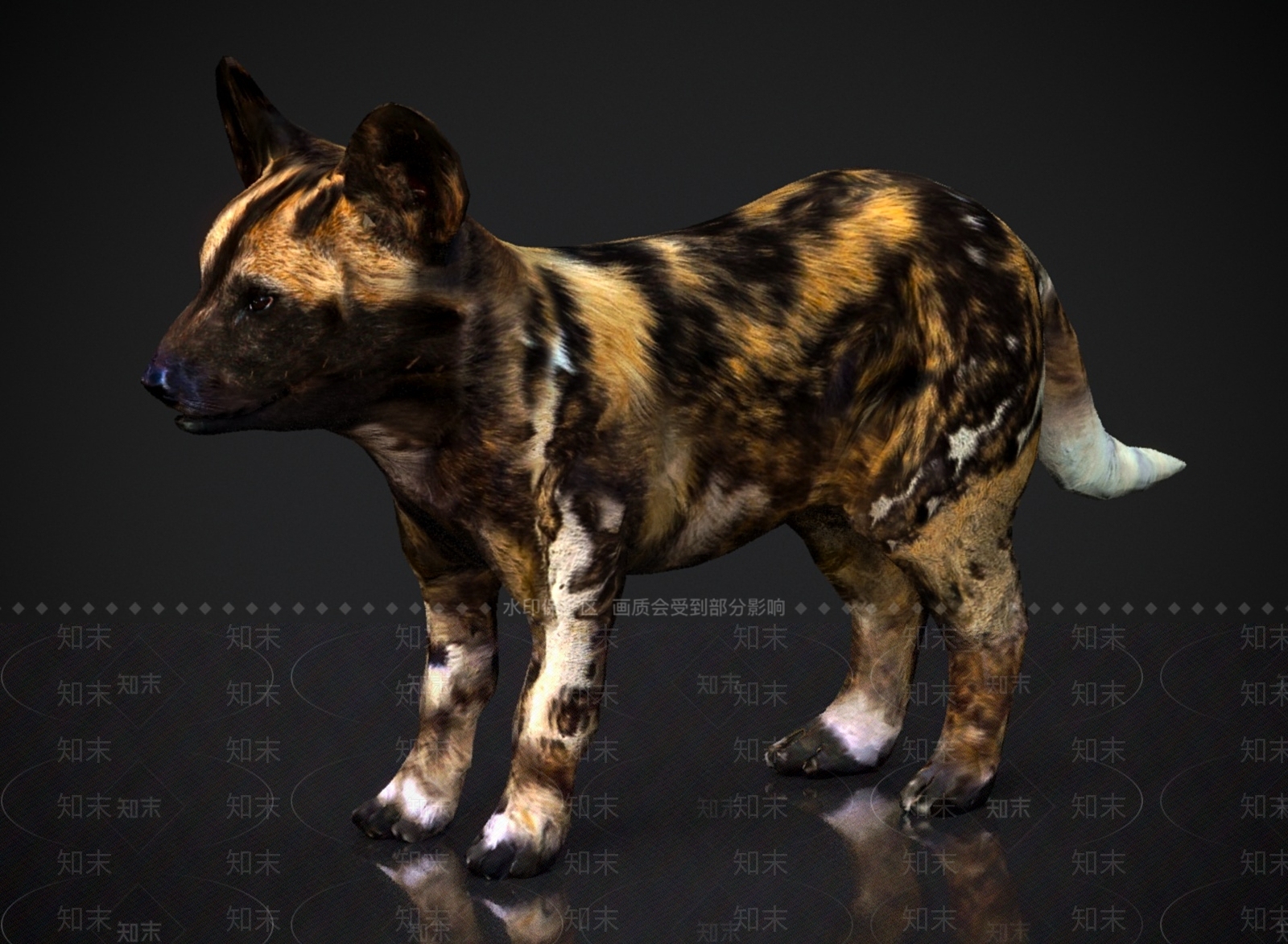 其他动物3D模型下载【ID:1178890811】