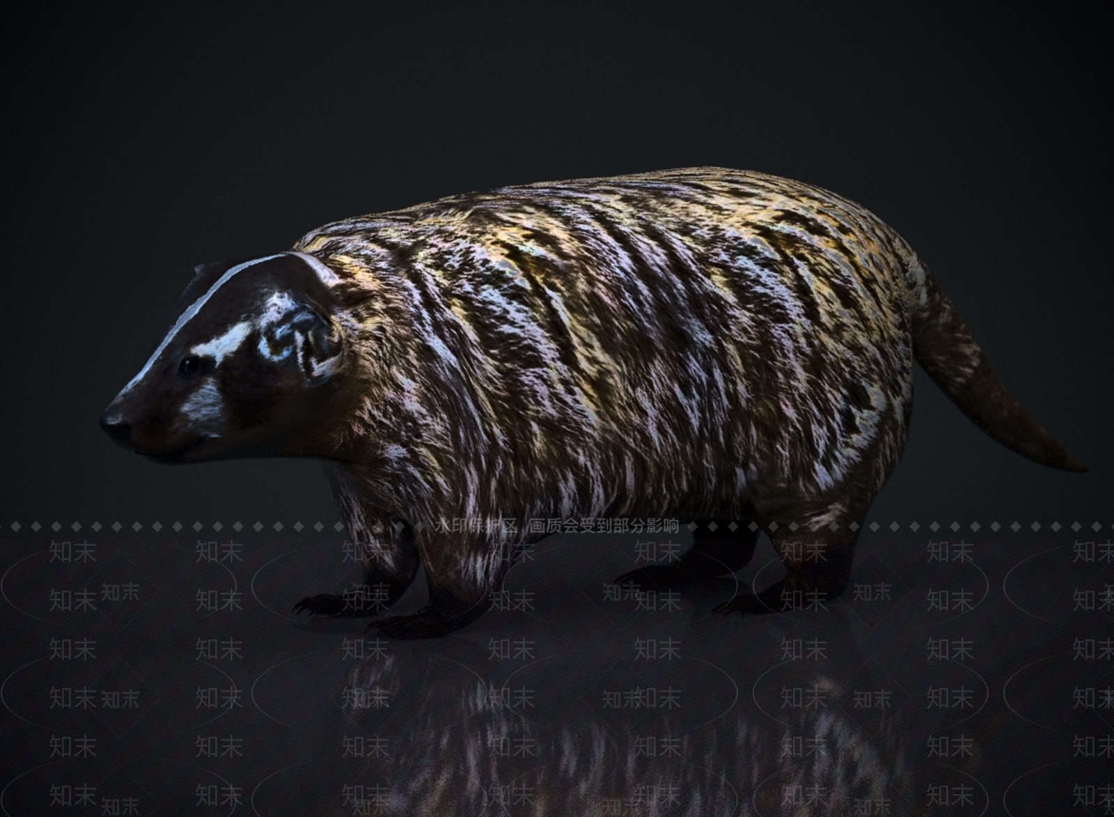 其他动物3D模型下载【ID:1178891910】