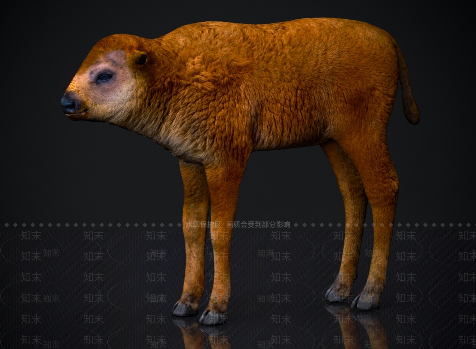 其他动物3D模型下载【ID:1178892226】