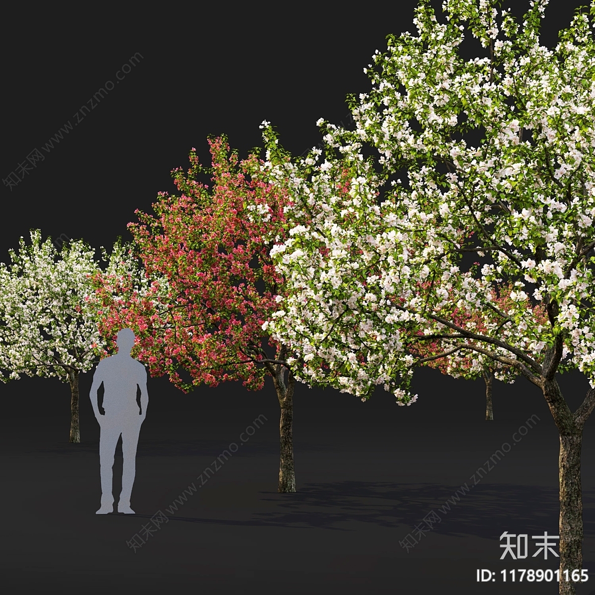 其他树木3D模型下载【ID:1178901165】