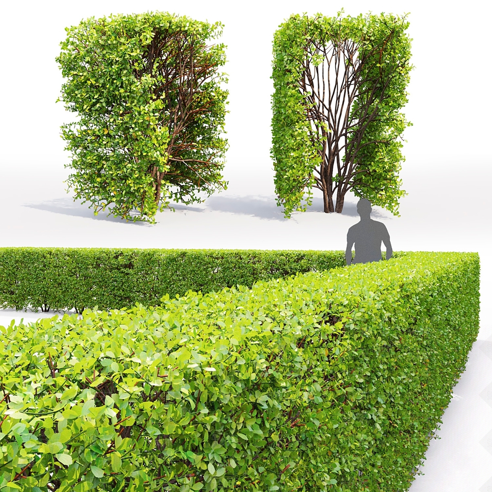 灌木3D模型下载【ID:1178927109】