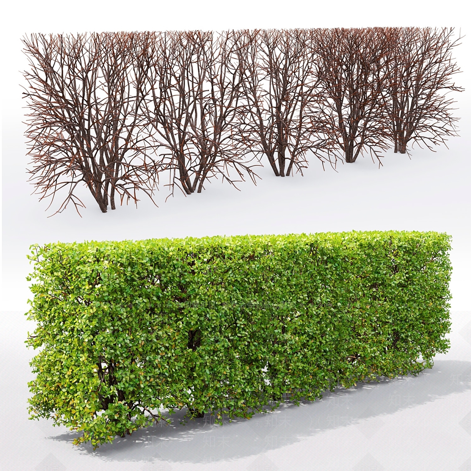 灌木3D模型下载【ID:1178927109】