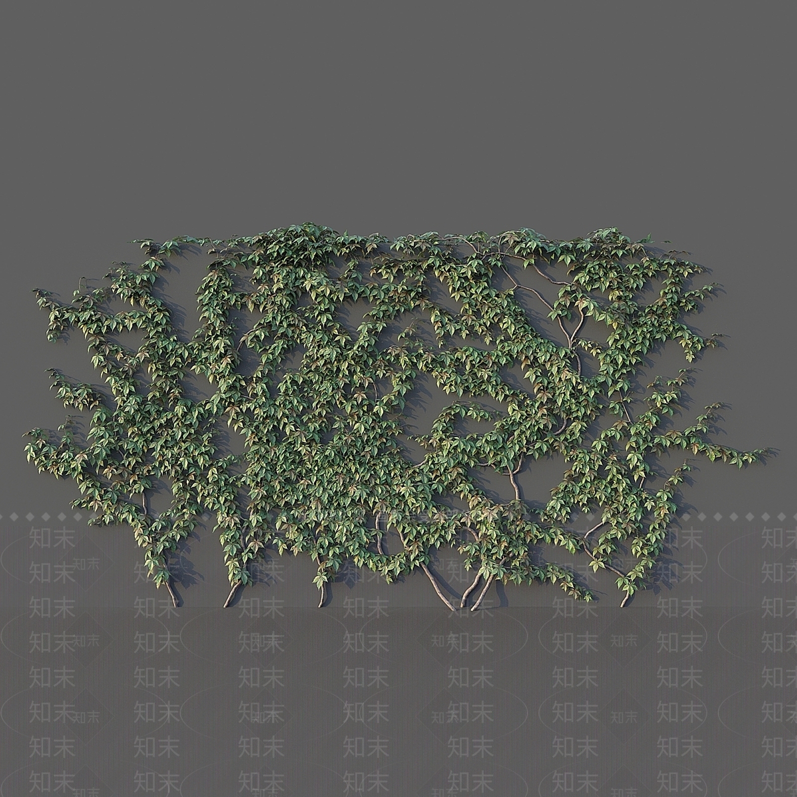 其他绿植3D模型下载【ID:1178935263】