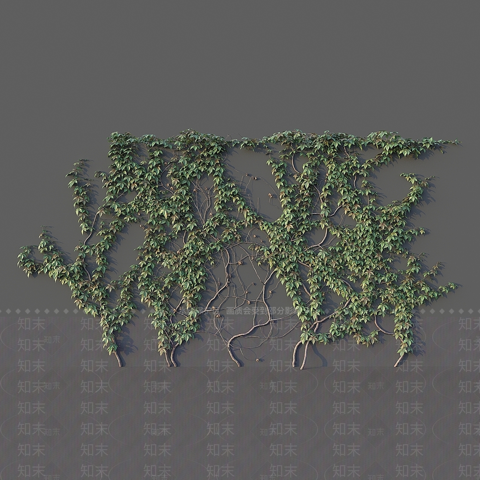 其他绿植3D模型下载【ID:1178935263】