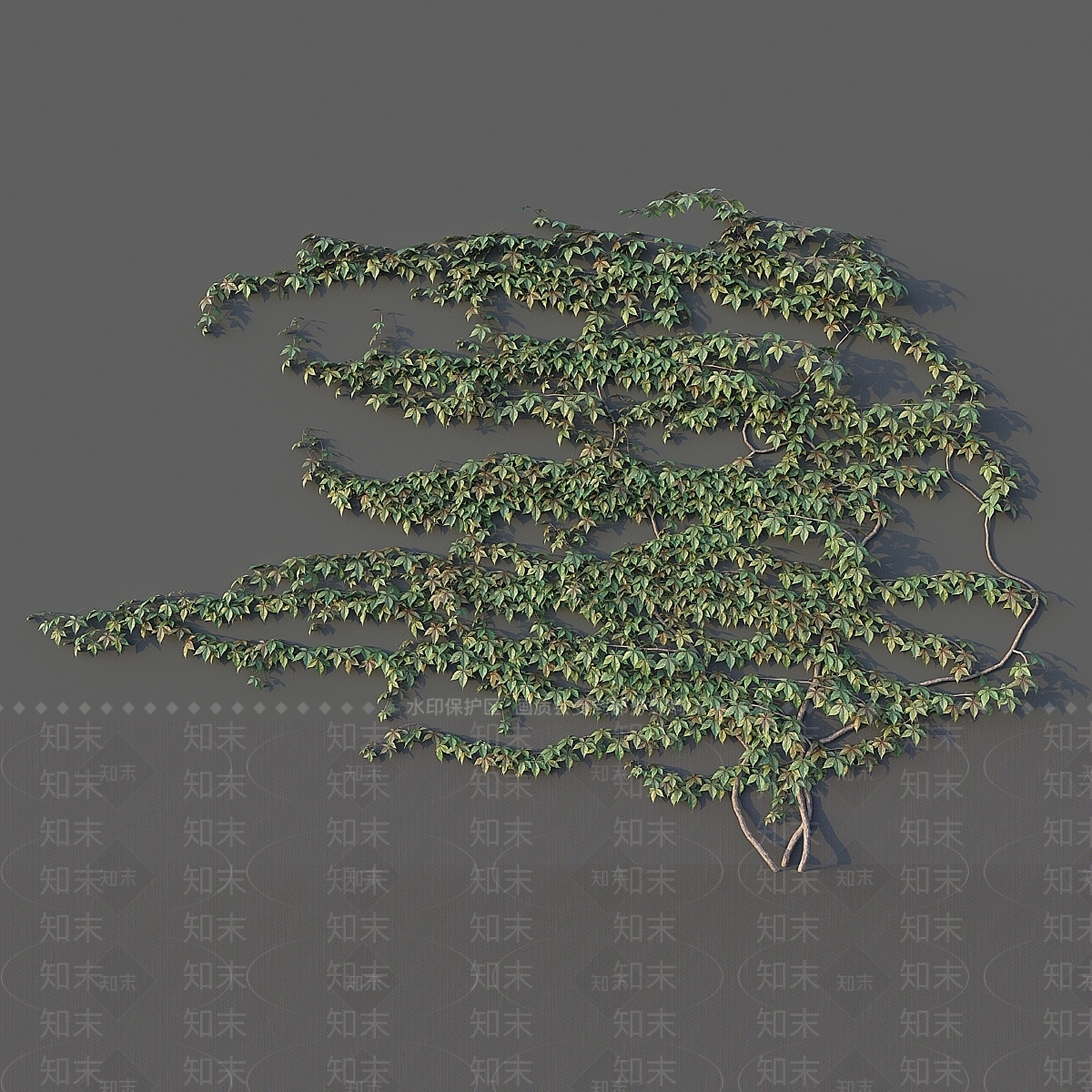 其他绿植3D模型下载【ID:1178935263】