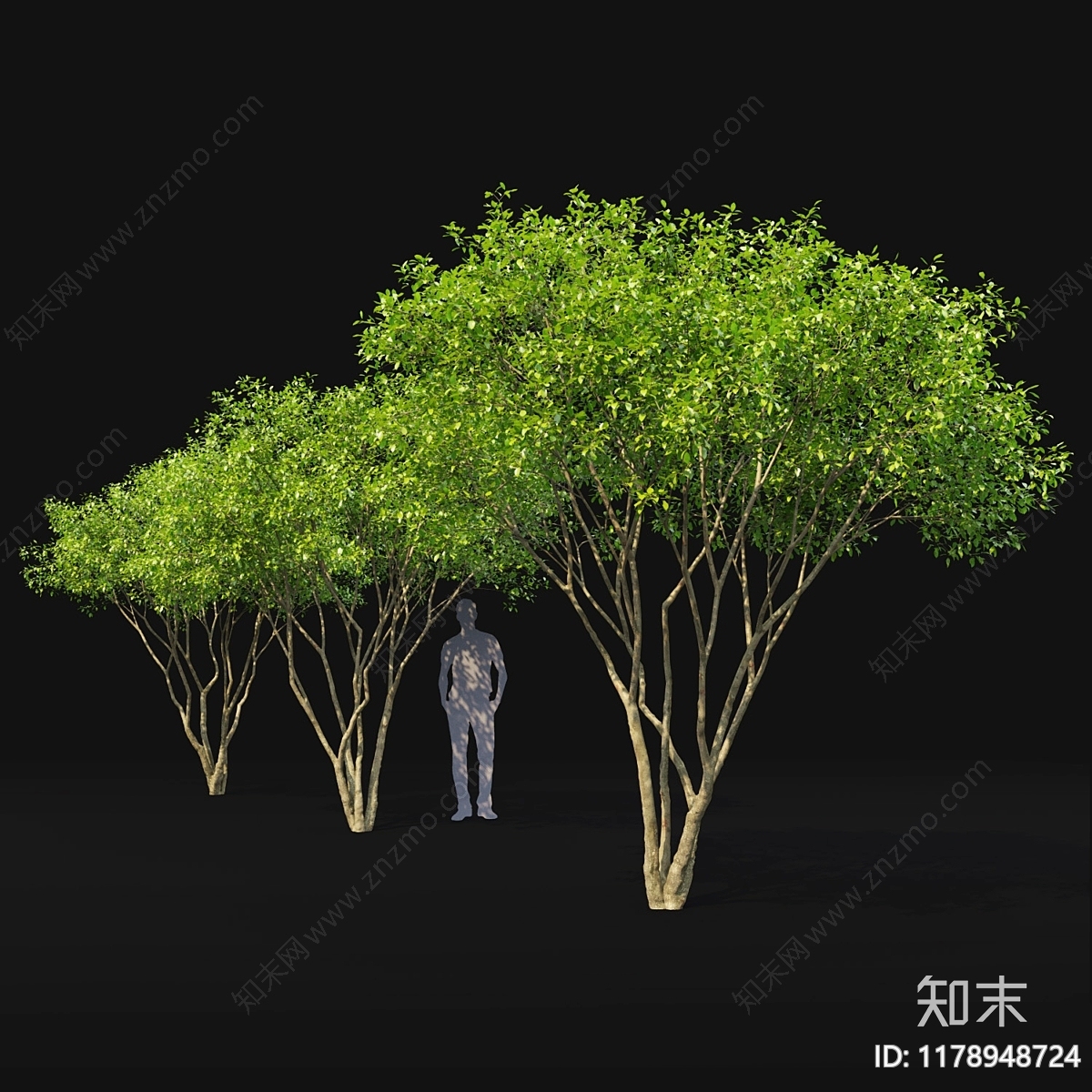 其他树木3D模型下载【ID:1178948724】