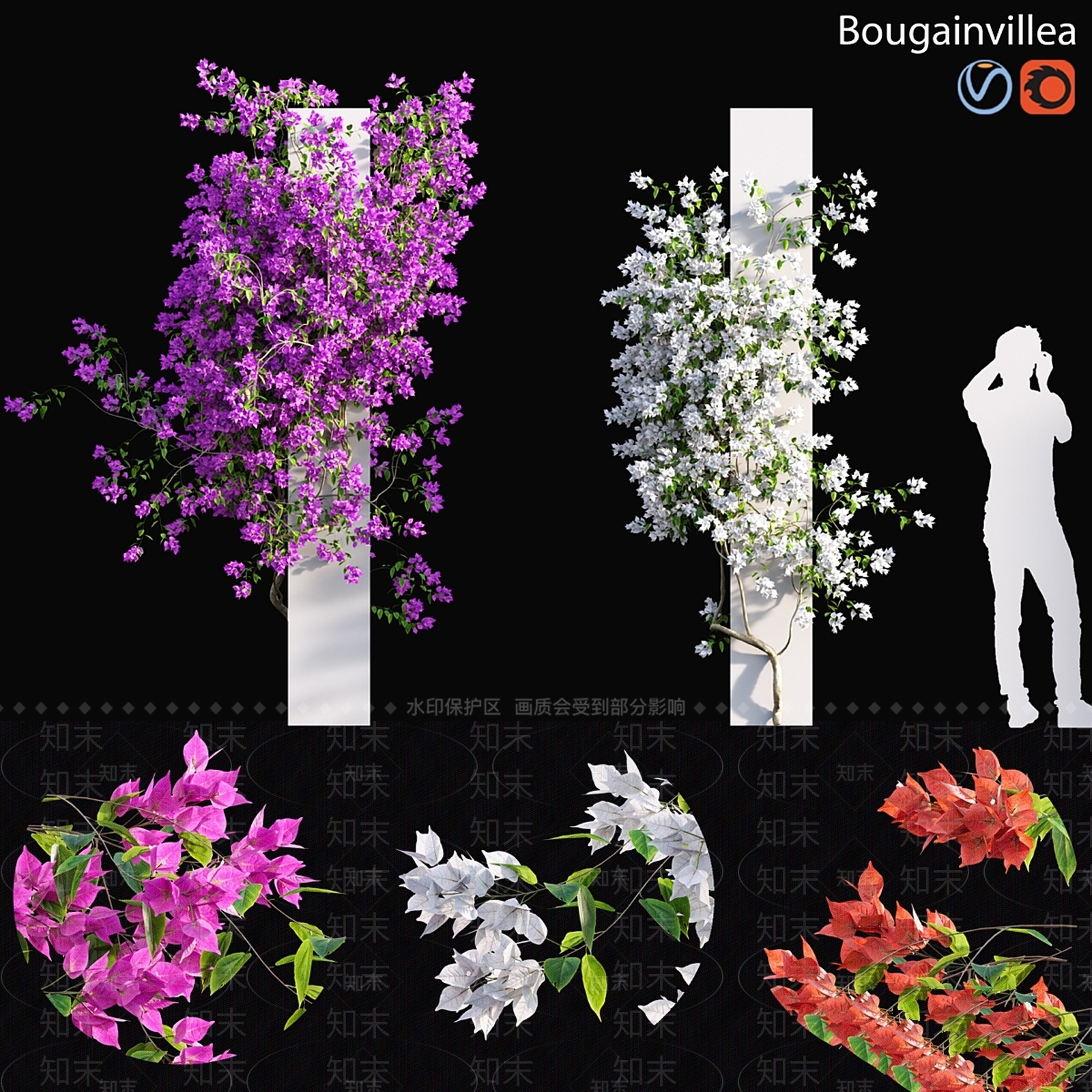其他绿植3D模型下载【ID:1178950201】