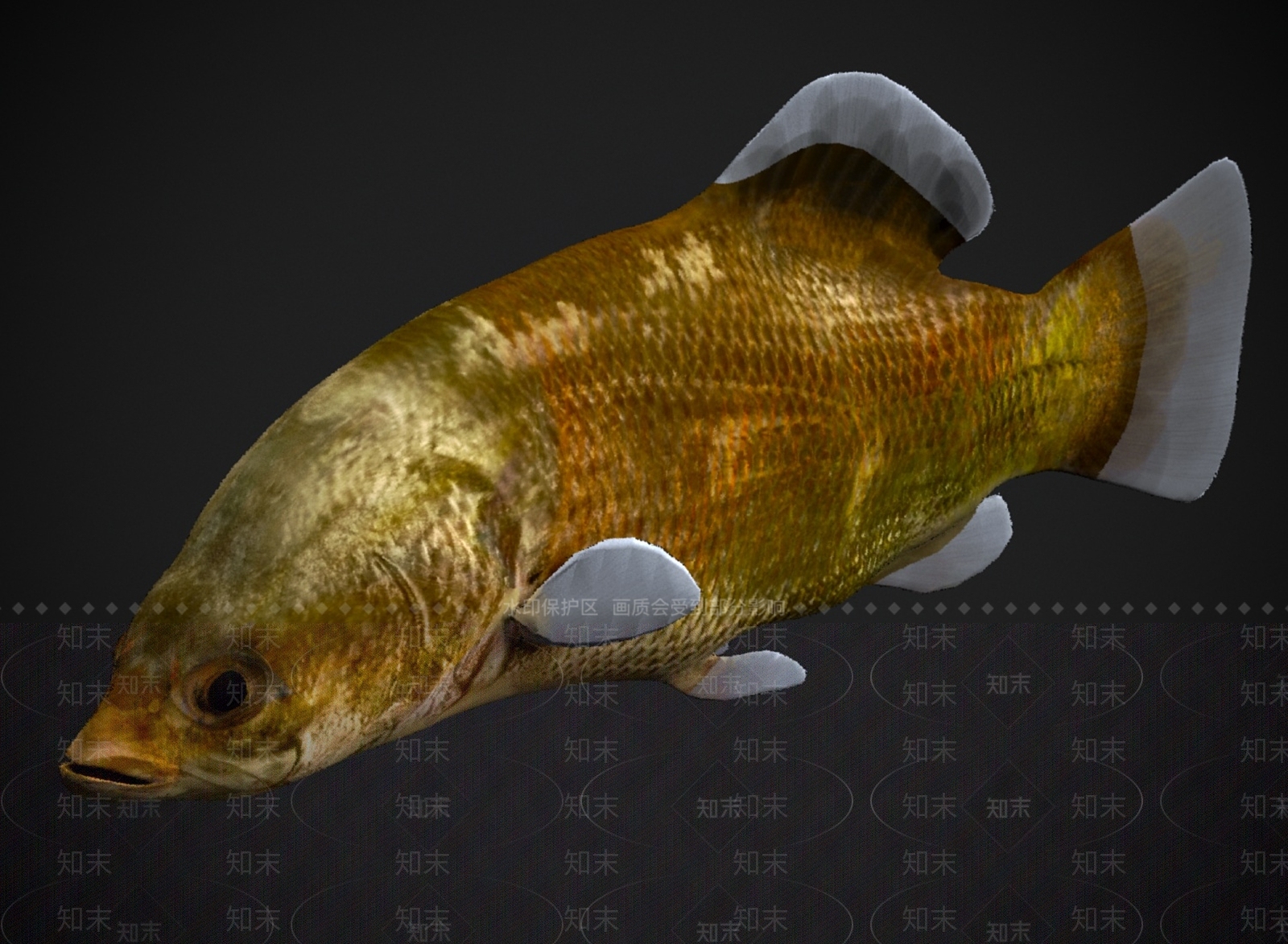 其他动物3D模型下载【ID:1178953216】