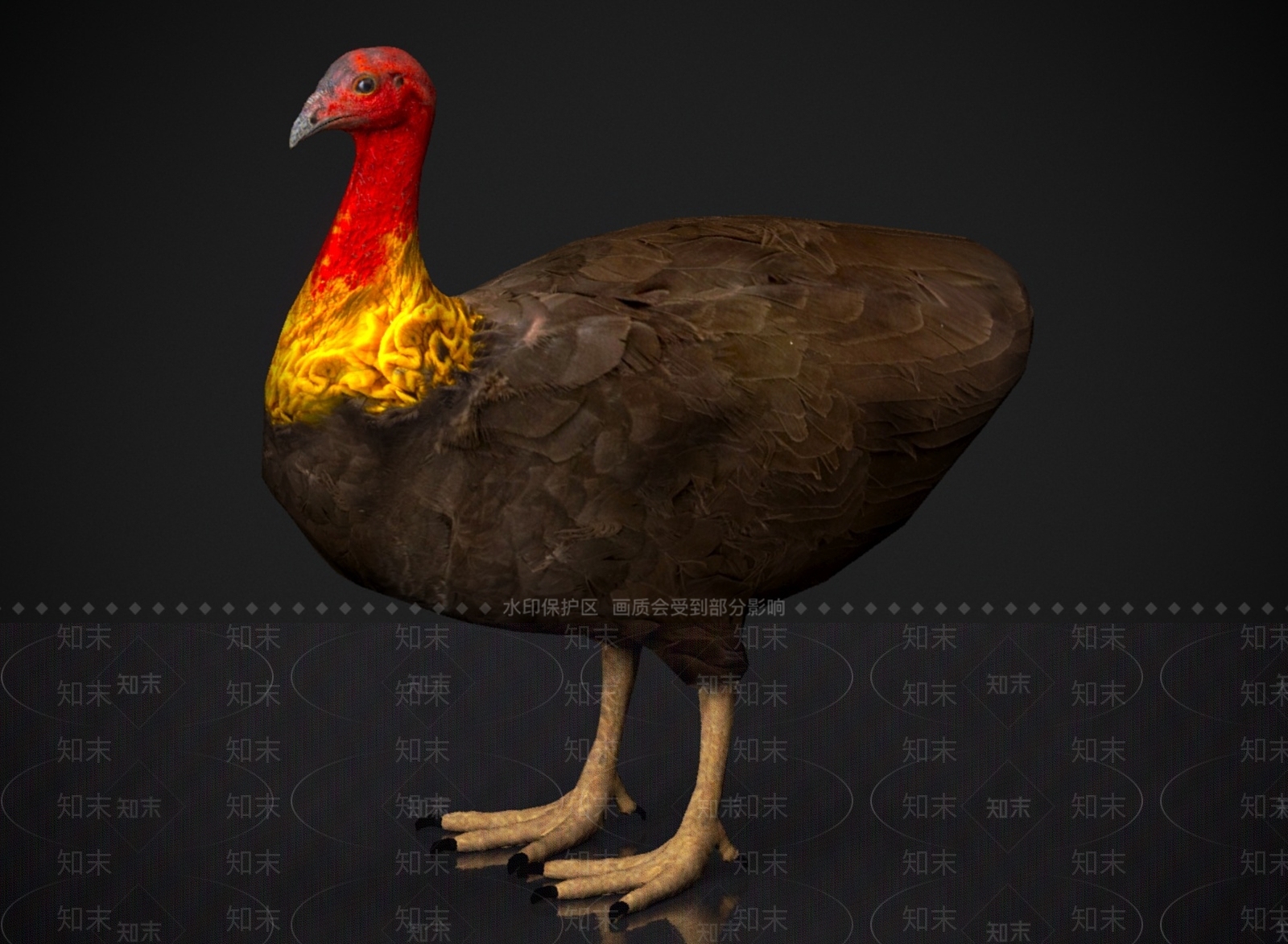 其他动物3D模型下载【ID:1178953505】