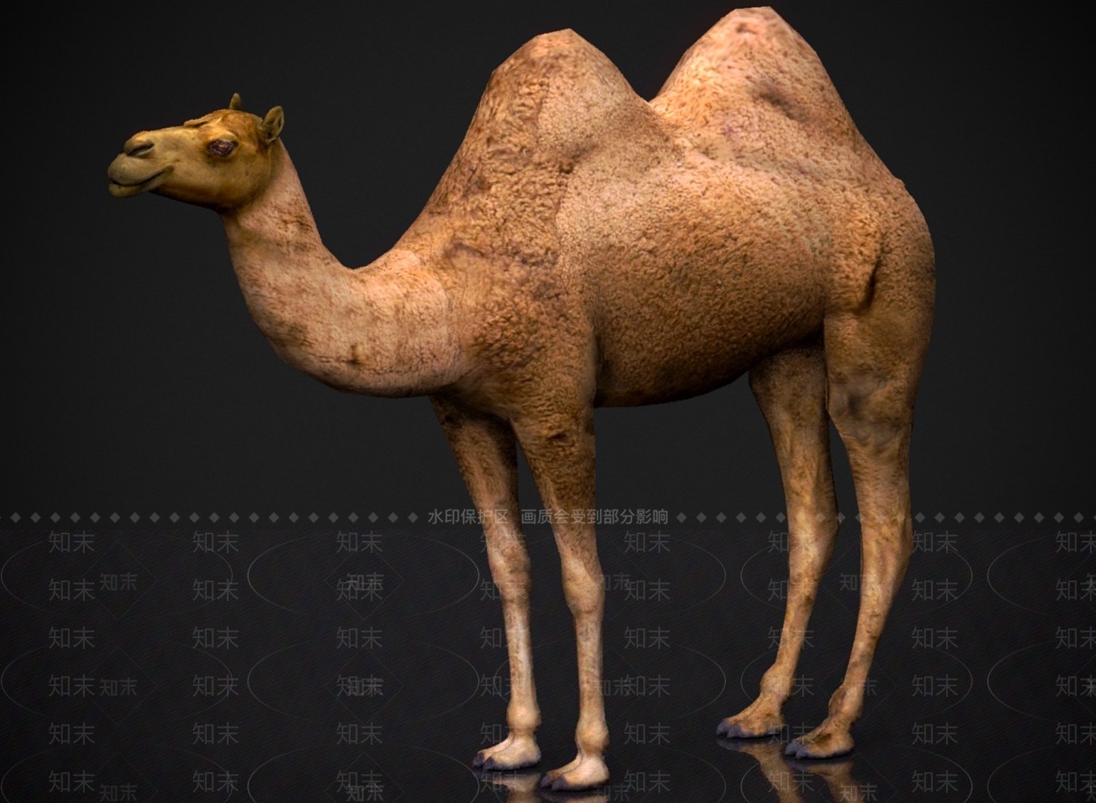 其他动物3D模型下载【ID:1178953700】