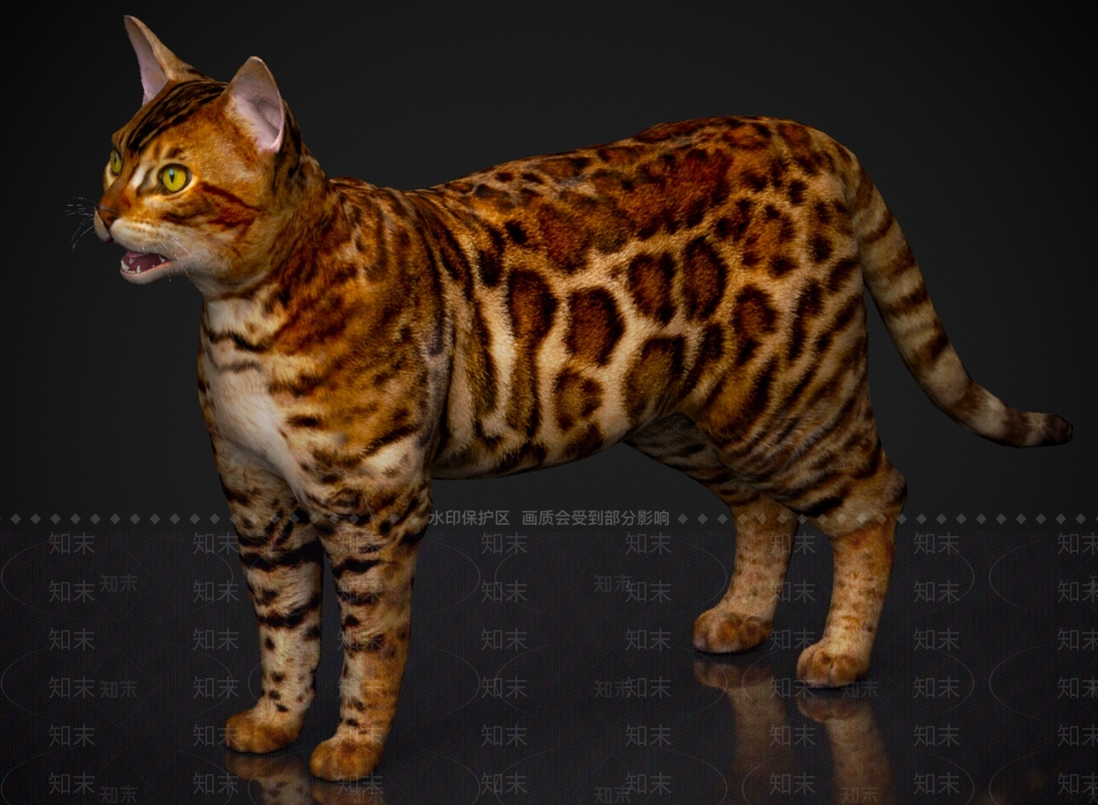猫3D模型下载【ID:1178955865】