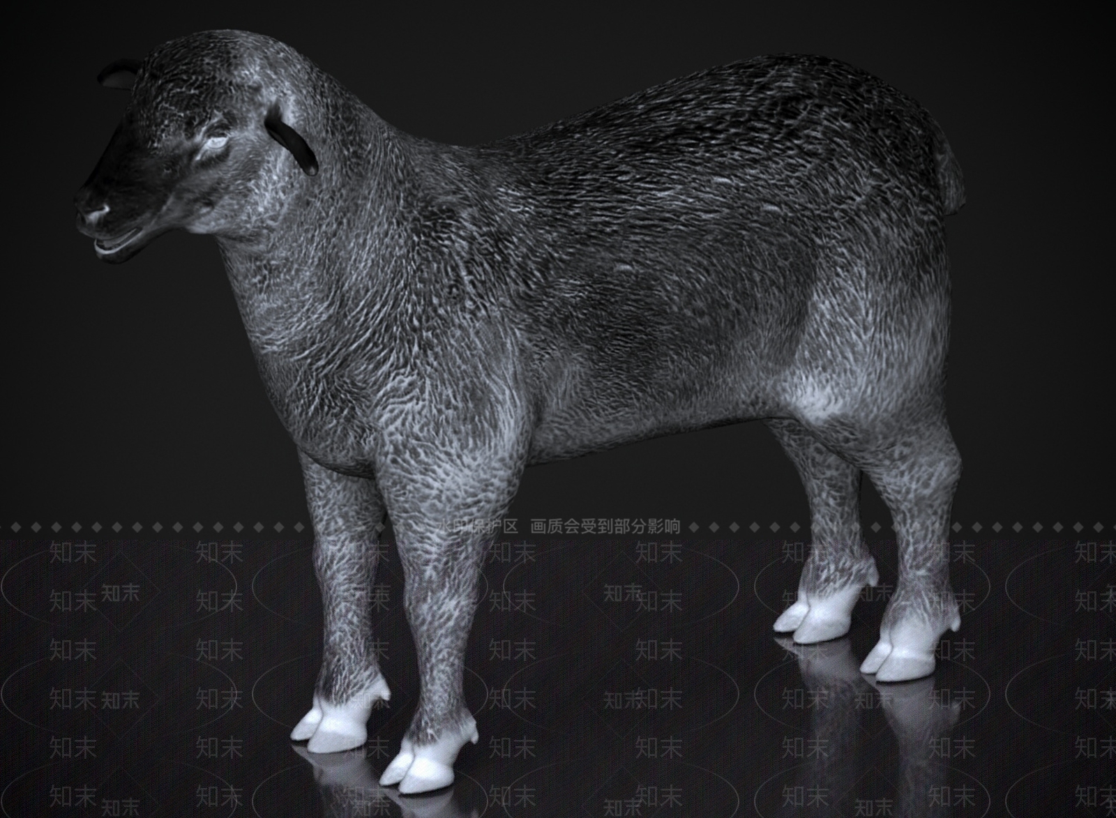 其他动物3D模型下载【ID:1178956979】
