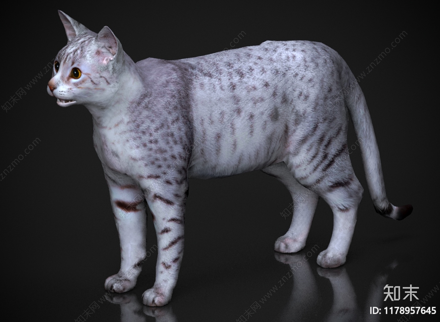 猫3D模型下载【ID:1178957645】