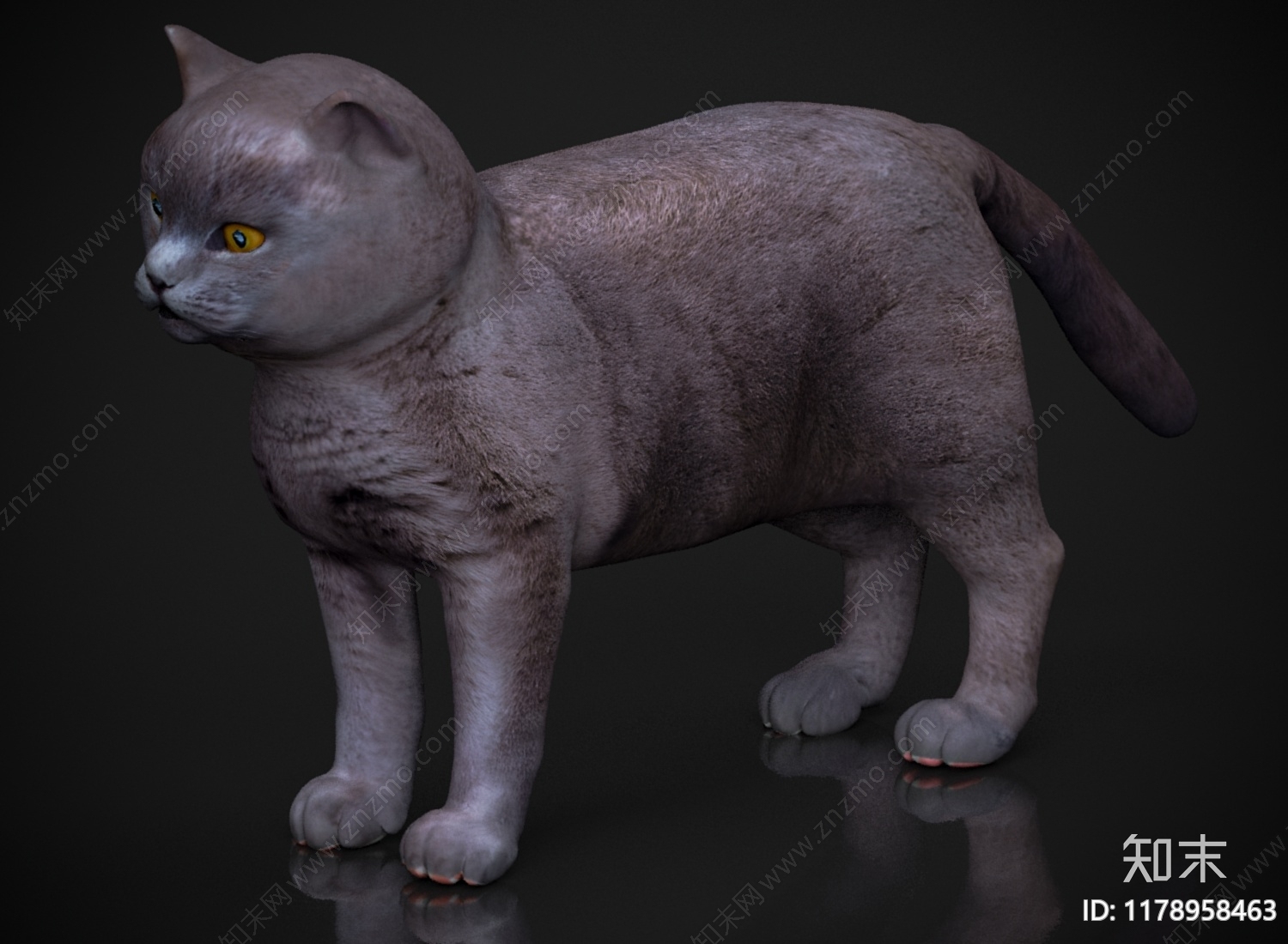 猫3D模型下载【ID:1178958463】