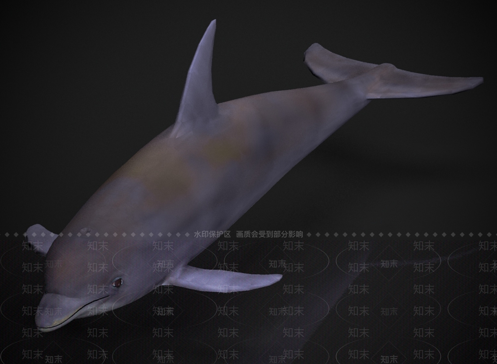 水生类动物3D模型下载【ID:1178959159】