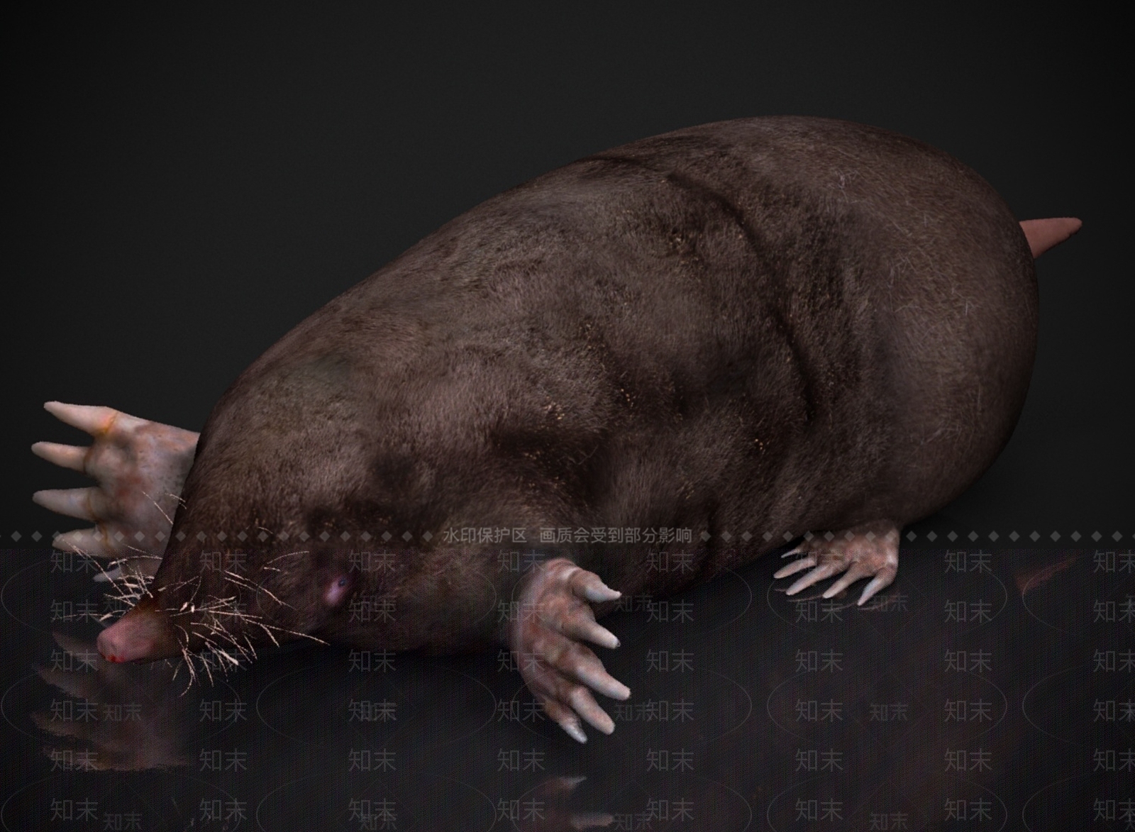 其他动物3D模型下载【ID:1178959410】