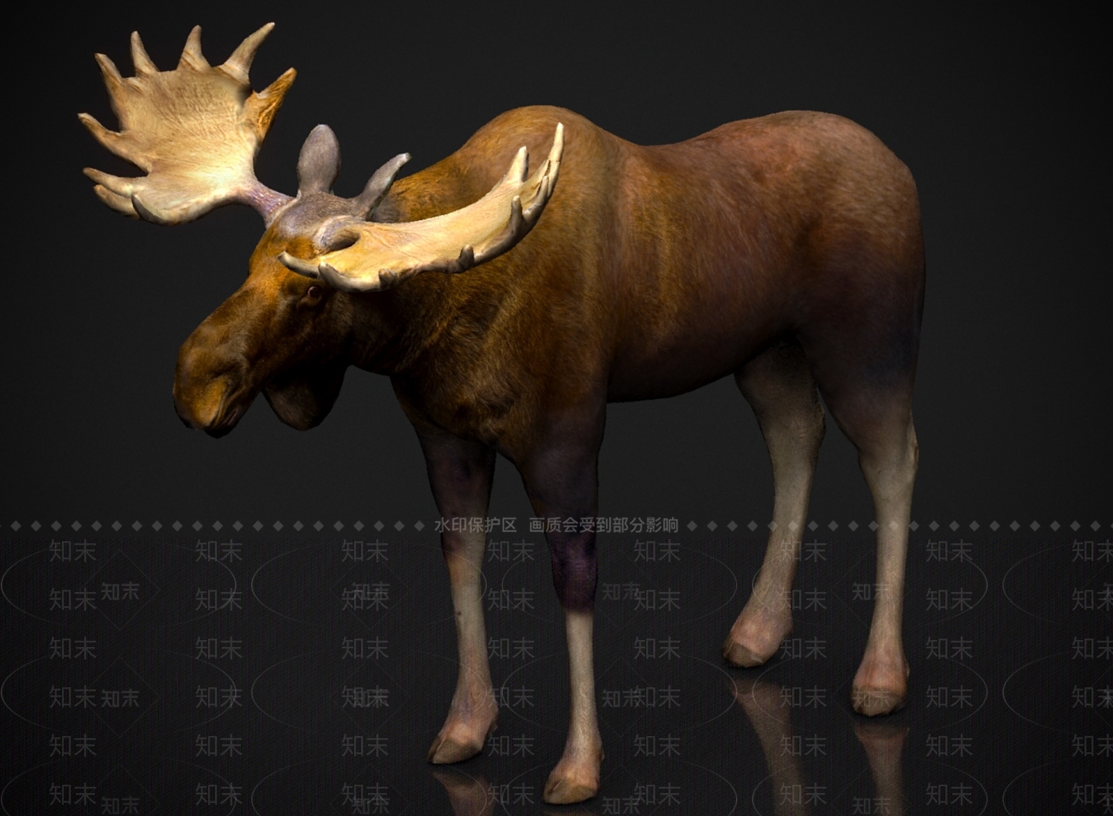 其他动物3D模型下载【ID:1178959477】