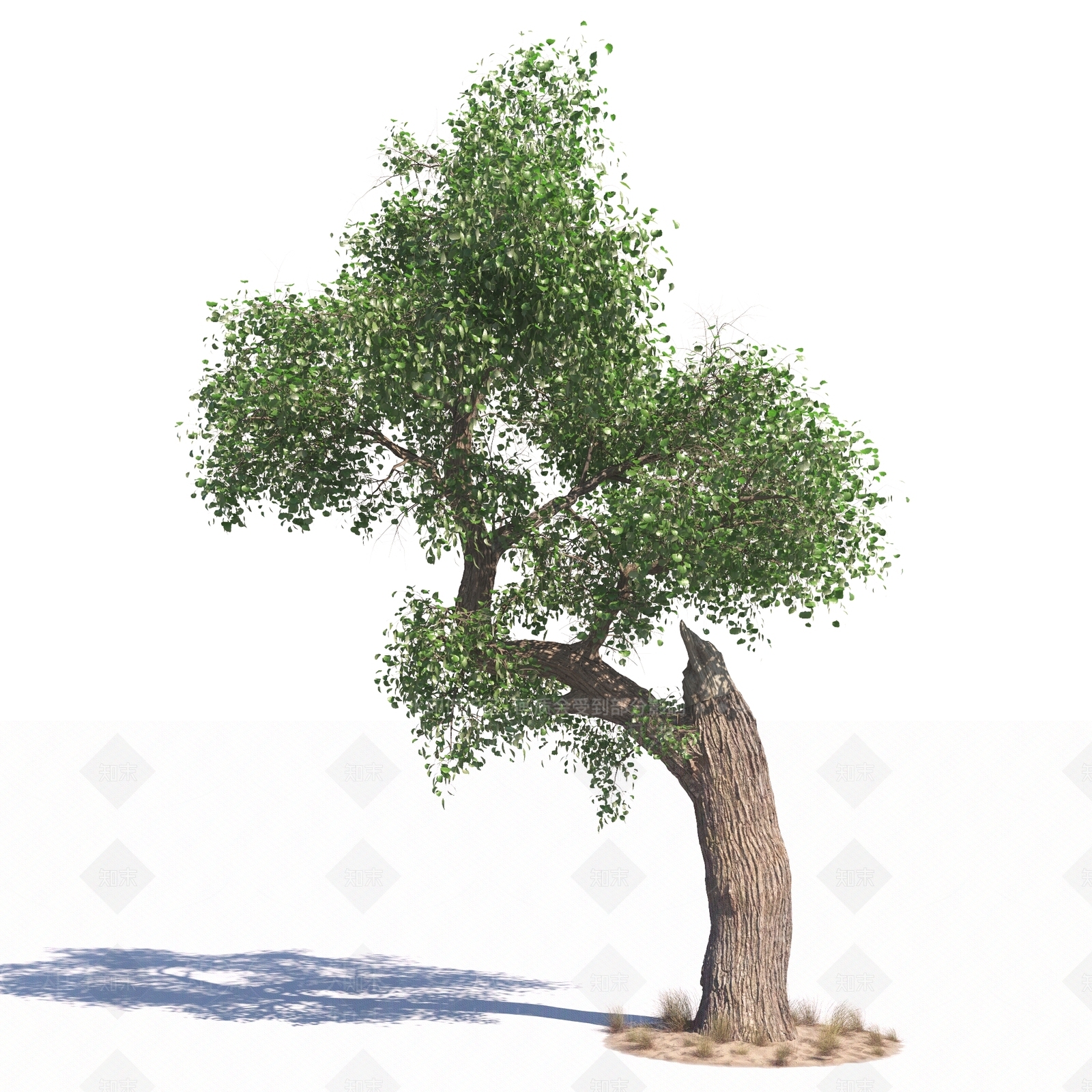 景观树3D模型下载【ID:1178963033】