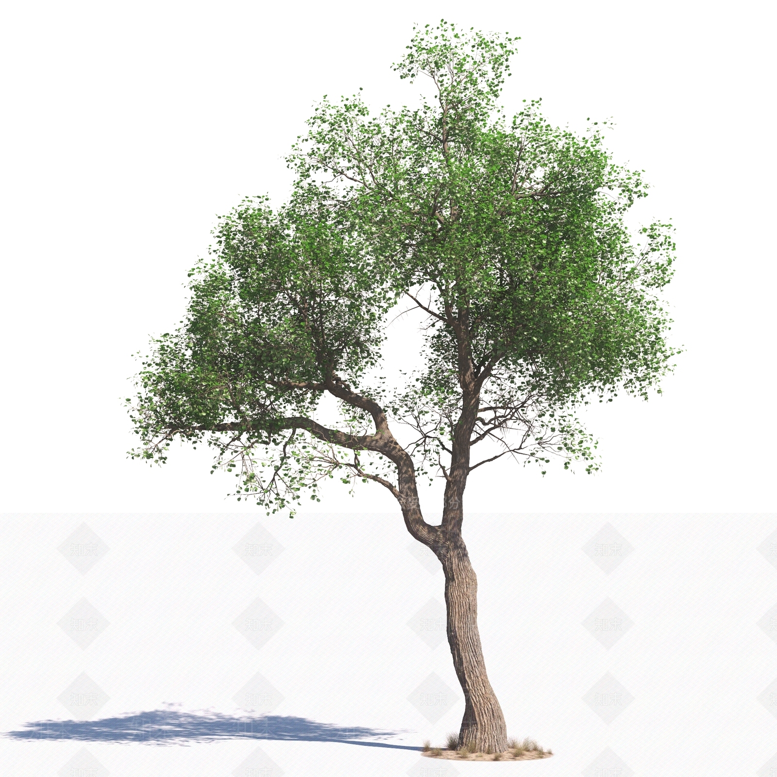 景观树3D模型下载【ID:1178963160】