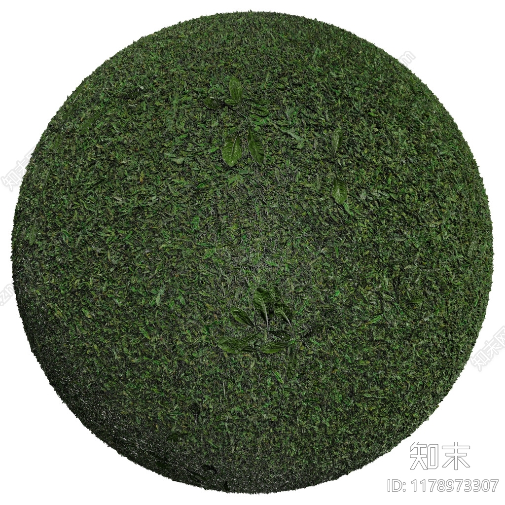 草皮下载【ID:1178973307】