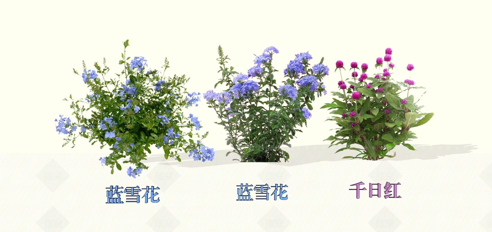 灌木SU模型下载【ID:1178993296】