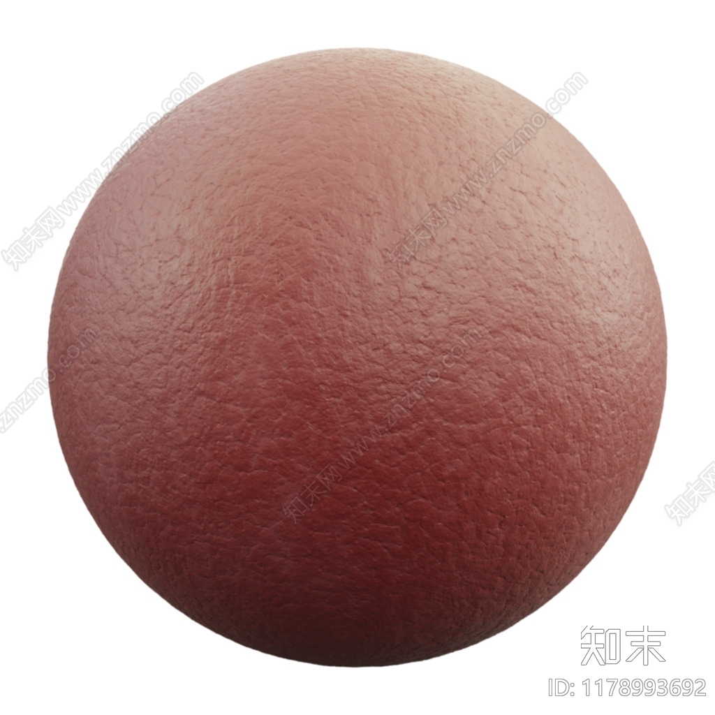 皮质下载【ID:1178993692】