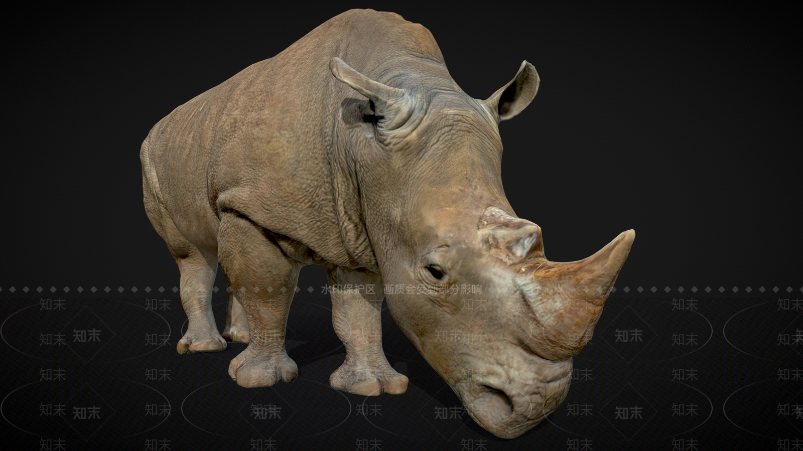 爬行类动物3D模型下载【ID:1179013680】