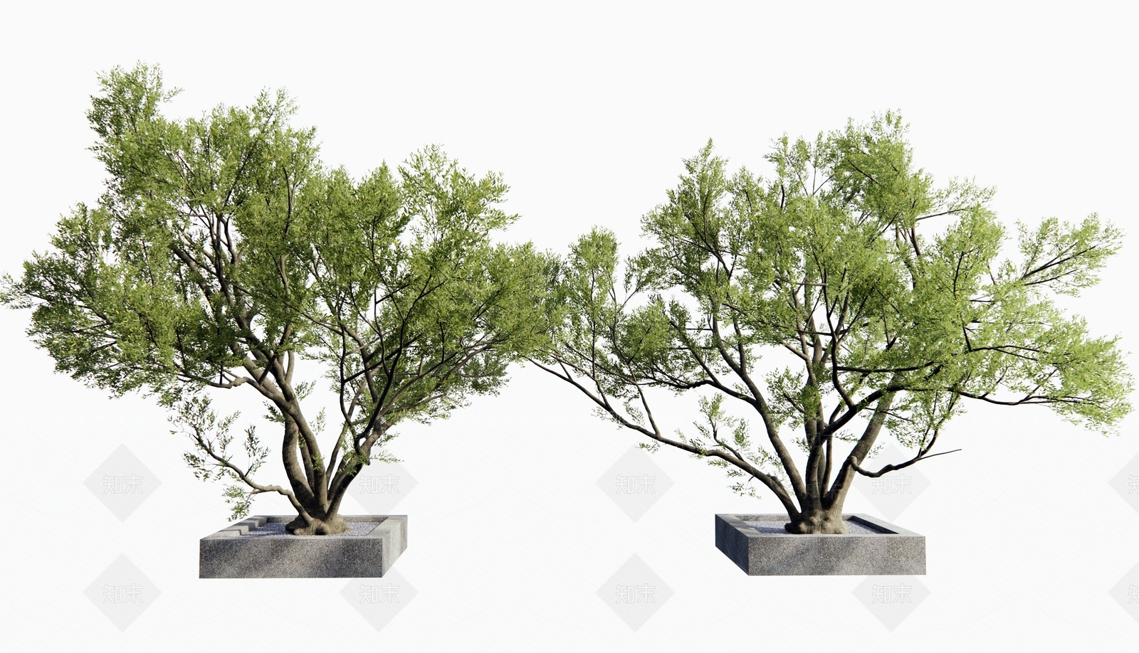 景观树3D模型下载【ID:1179015571】