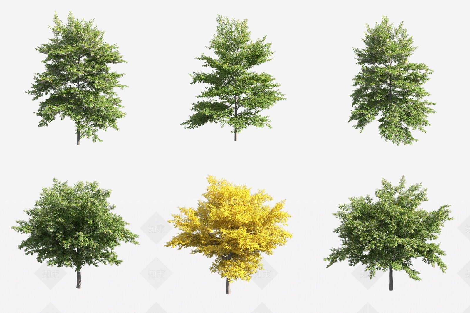 景观树3D模型下载【ID:1179045504】