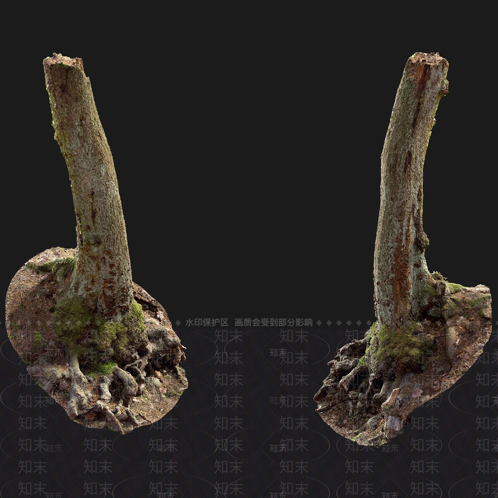 其他树木3D模型下载【ID:1179059354】