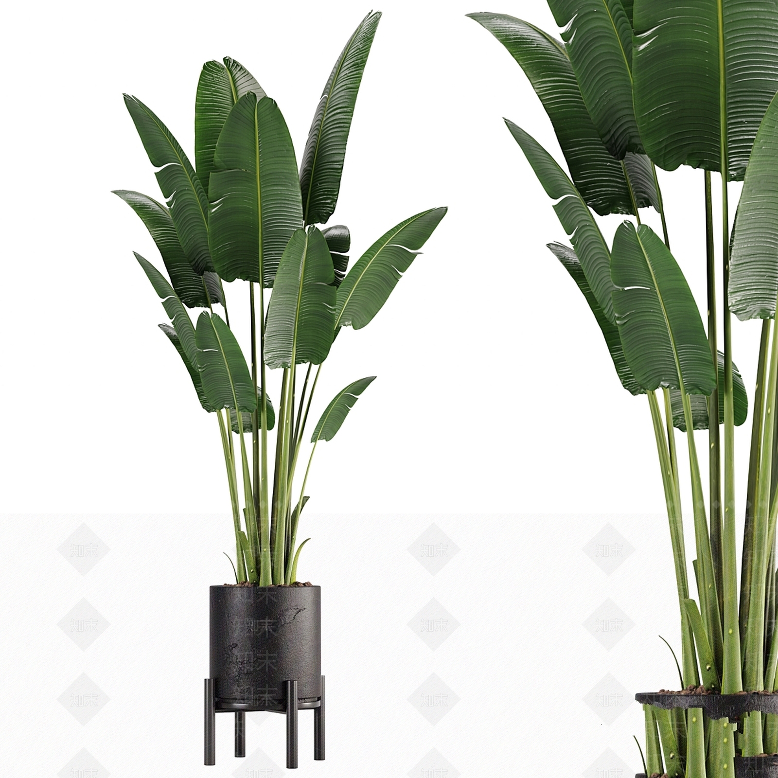 盆栽3D模型下载【ID:1179153048】