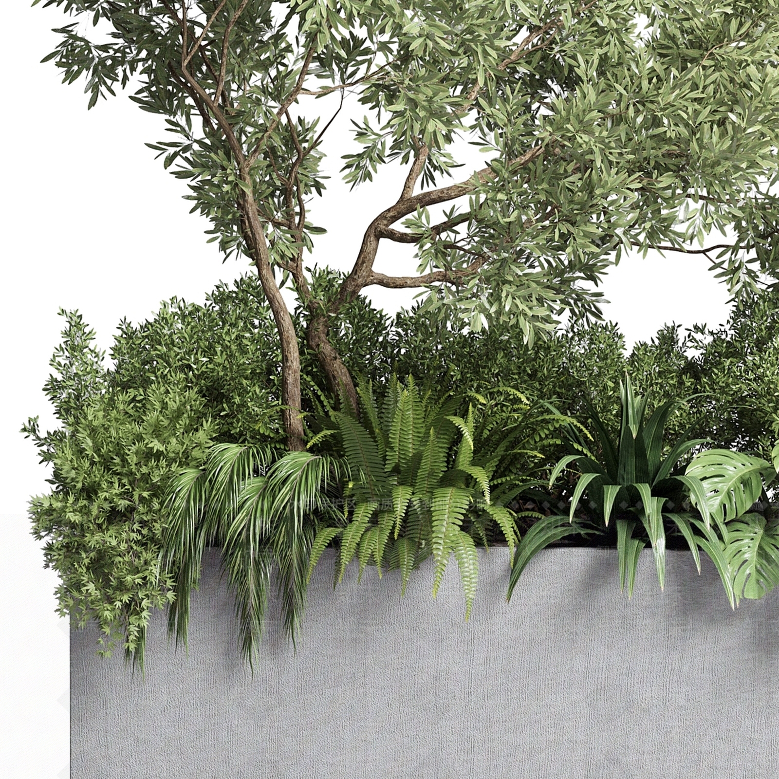 其他绿植3D模型下载【ID:1179165145】