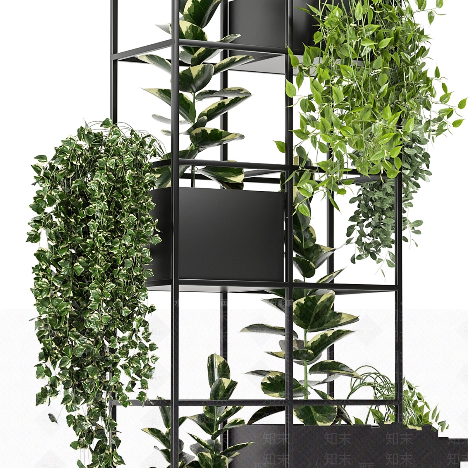盆栽3D模型下载【ID:1179173482】