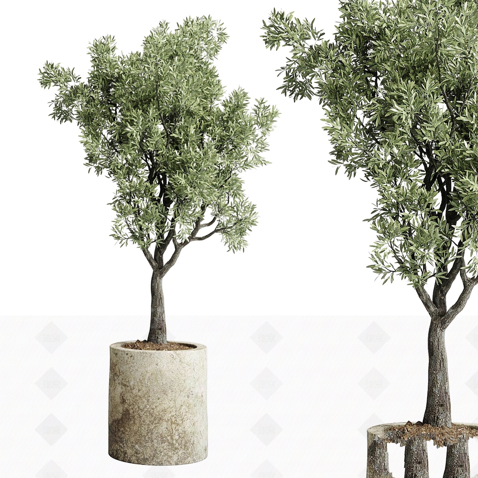 其他绿植3D模型下载【ID:1179182892】