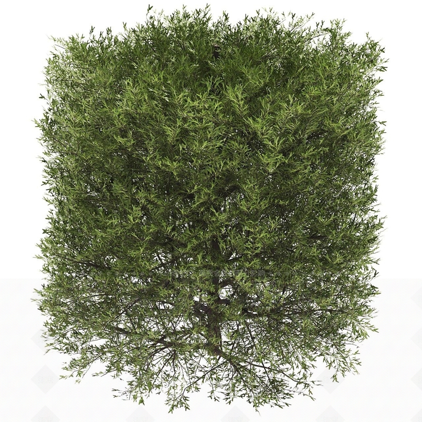 灌木3D模型下载【ID:1179190297】