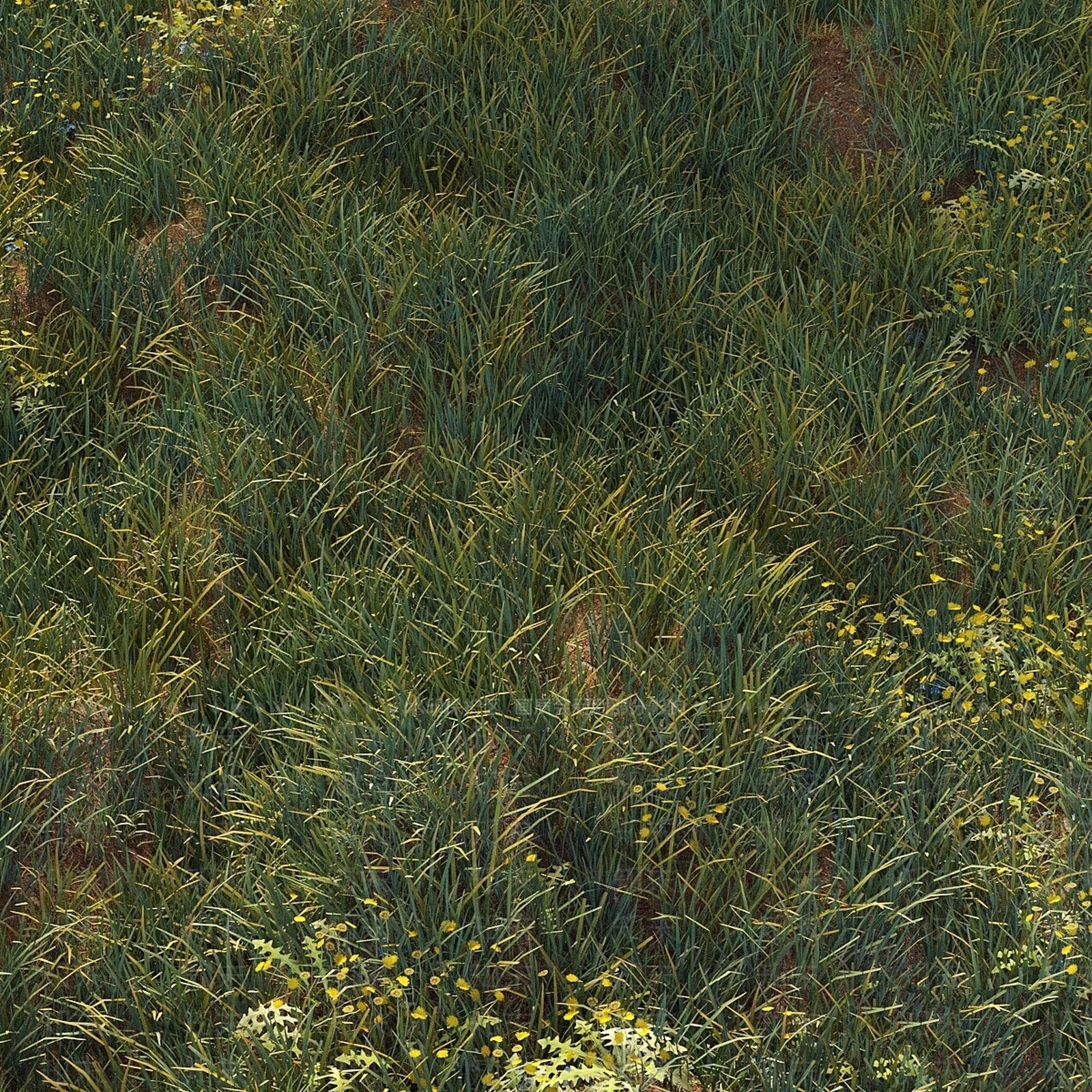 草3D模型下载【ID:1179232122】