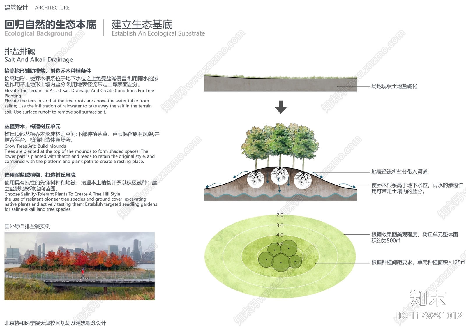 现代大学景观下载【ID:1179291012】