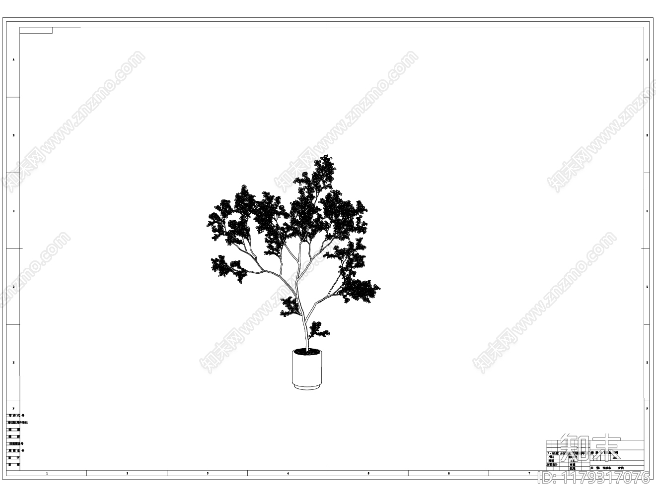 现代树cad施工图下载【ID:1179317076】