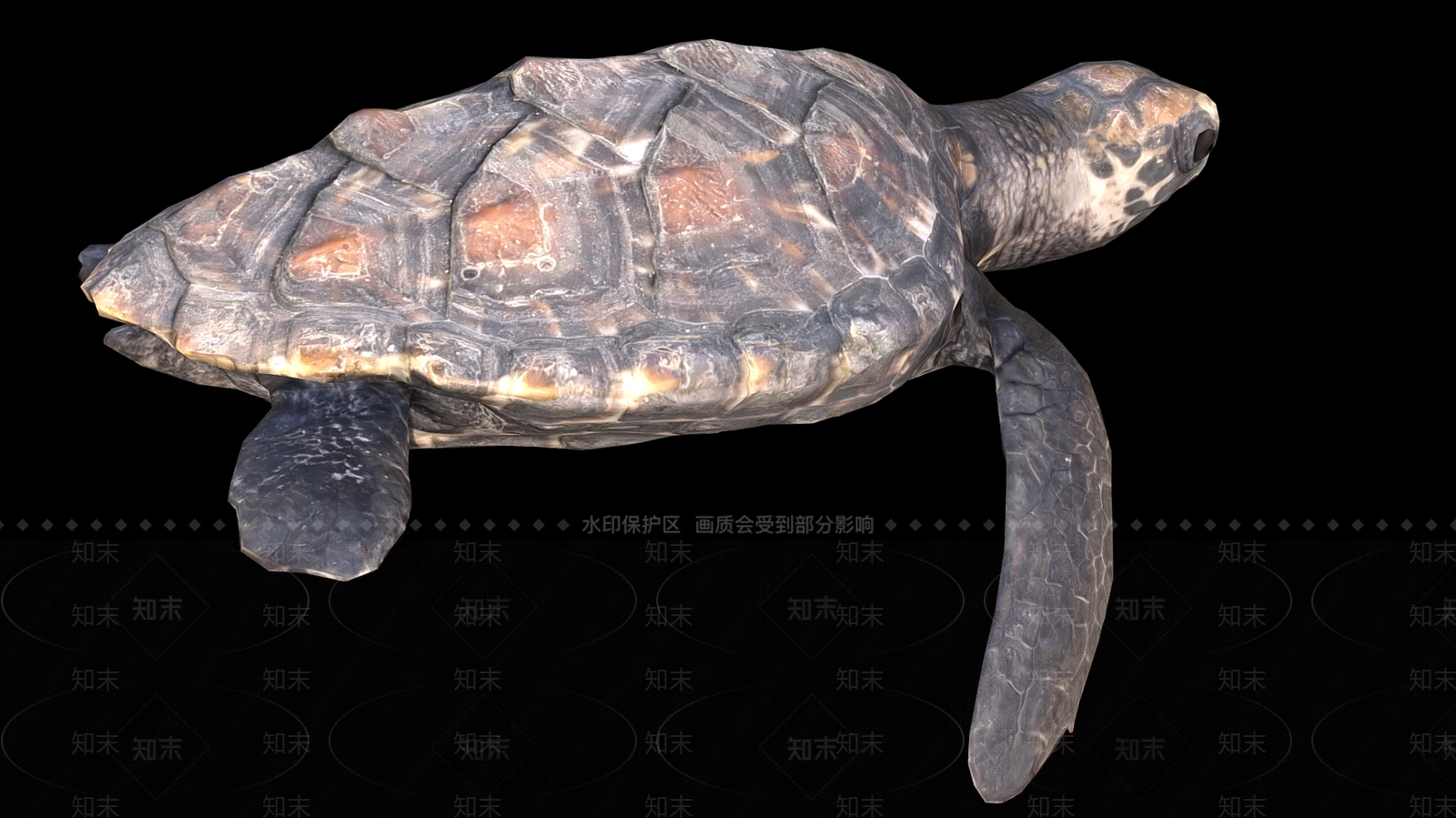 爬行类动物3D模型下载【ID:1179330949】
