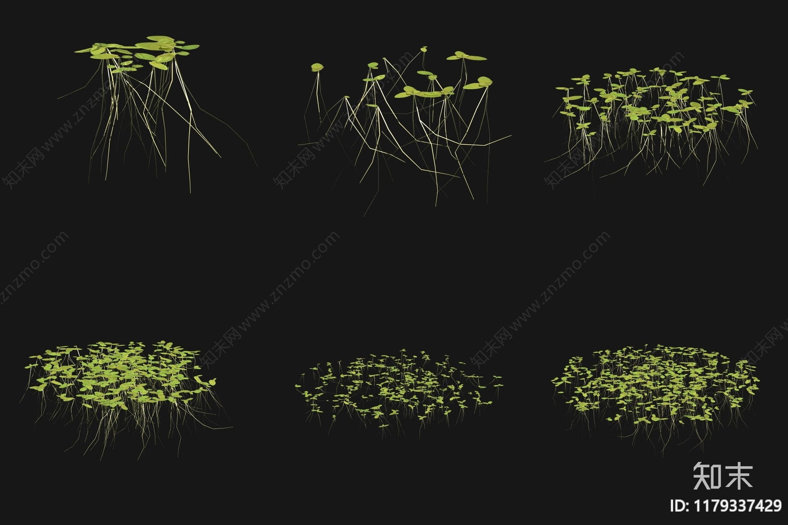 水生植物3D模型下载【ID:1179337429】