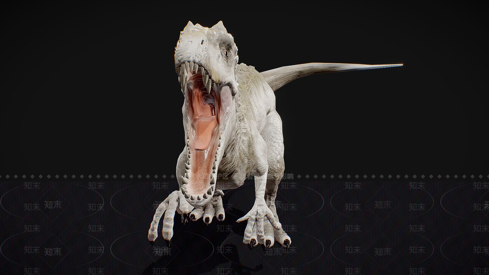 爬行类动物3D模型下载【ID:1179339933】