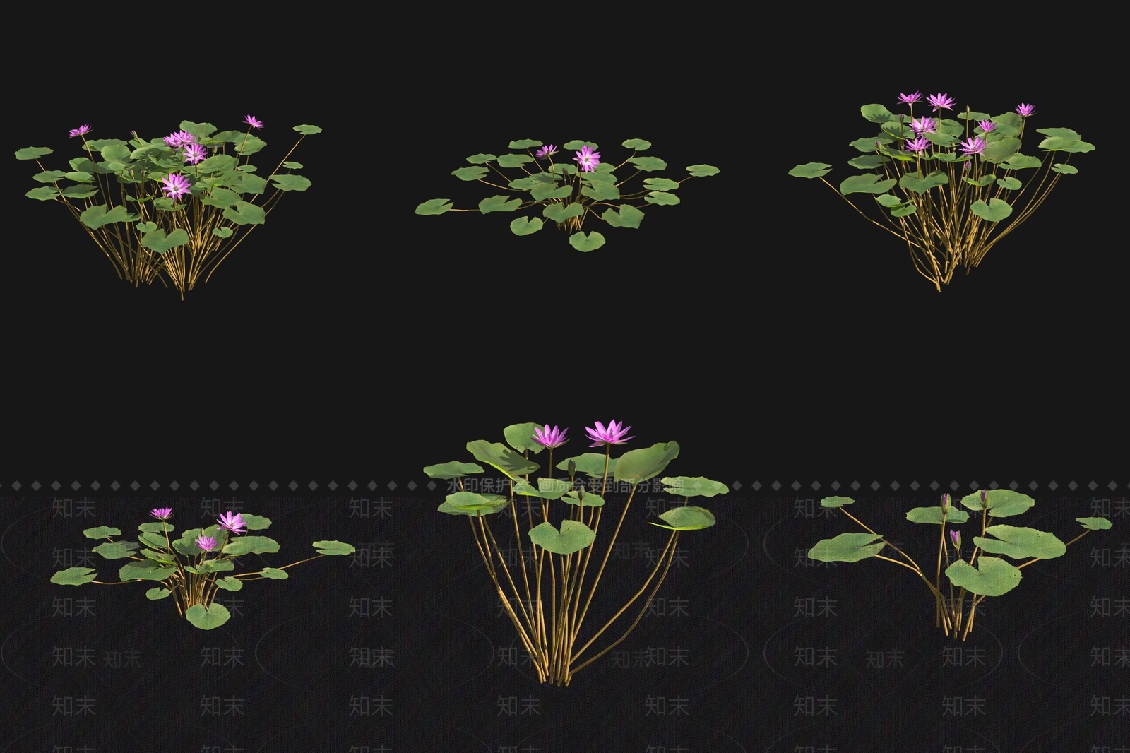 水生植物3D模型下载【ID:1179339809】