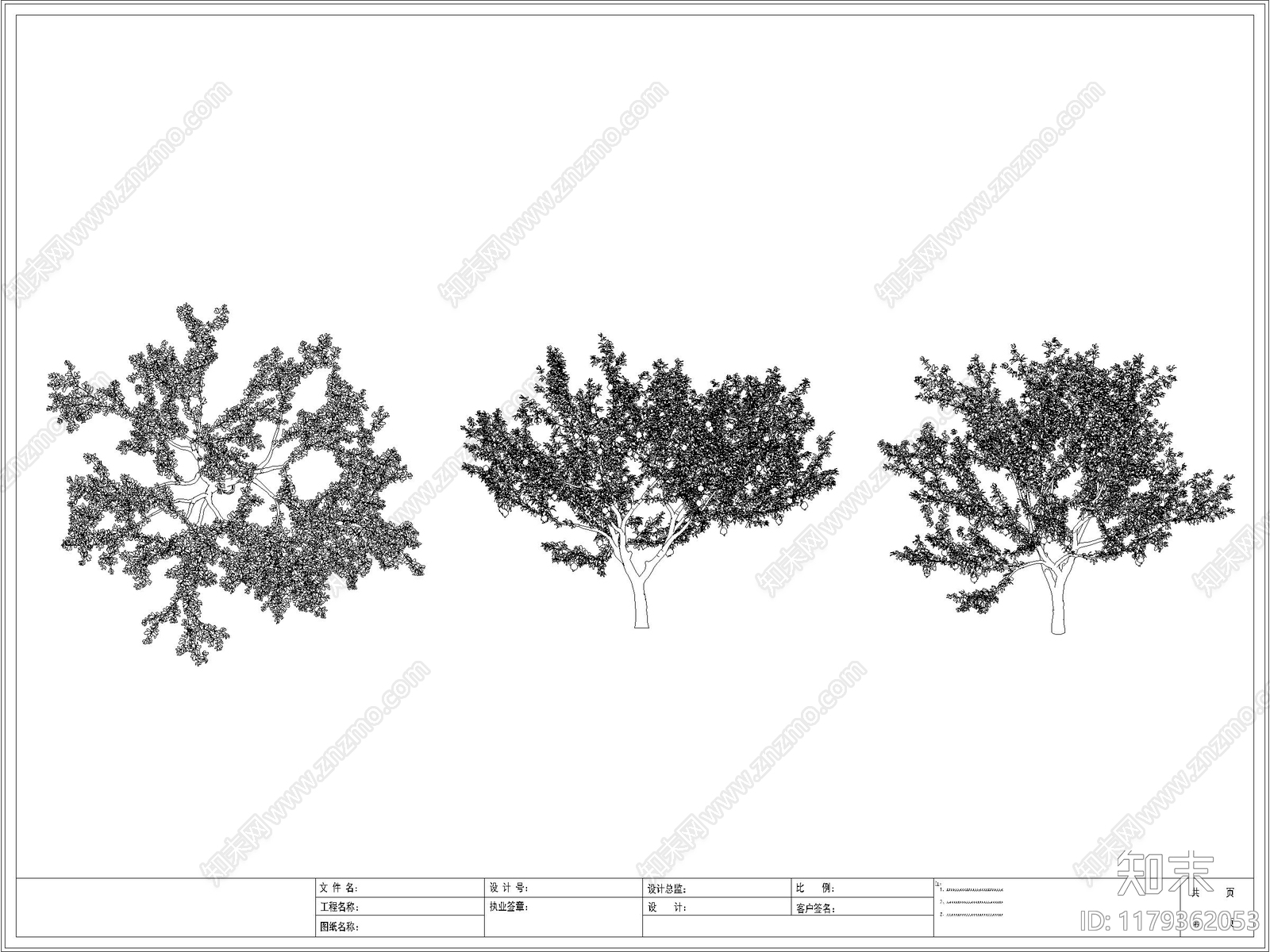 现代树cad施工图下载【ID:1179362053】