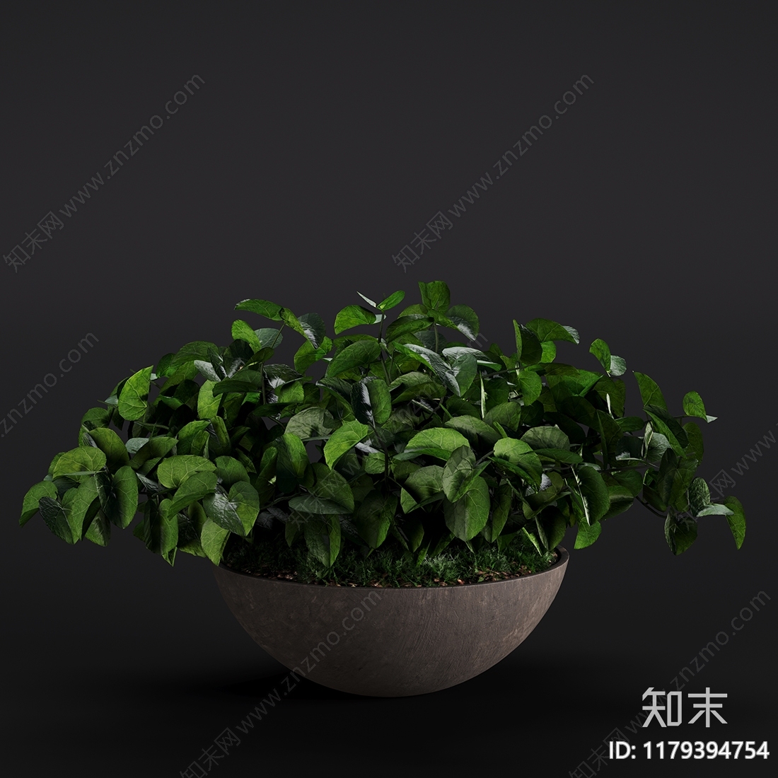 盆栽3D模型下载【ID:1179394754】